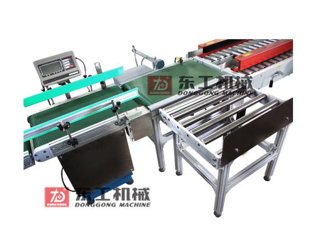 DH-1200直角坐標(biāo)(XVZ)機(jī)器人裝箱機(jī).jpg